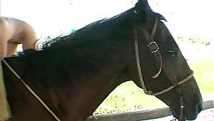 Beim Reiten ficken